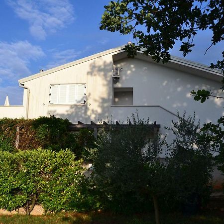 App Segi Lägenhet Novigrad Istria Exteriör bild